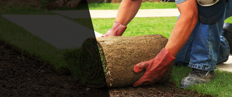 Columbia City Landscapers